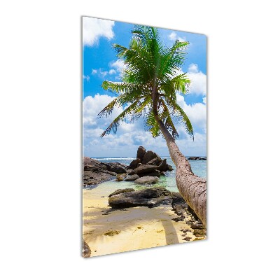 Foto obraz szklany pionowy Tropikalna plaża