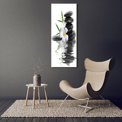 Foto obraz na szkle pionowy Orchidea i kamienie