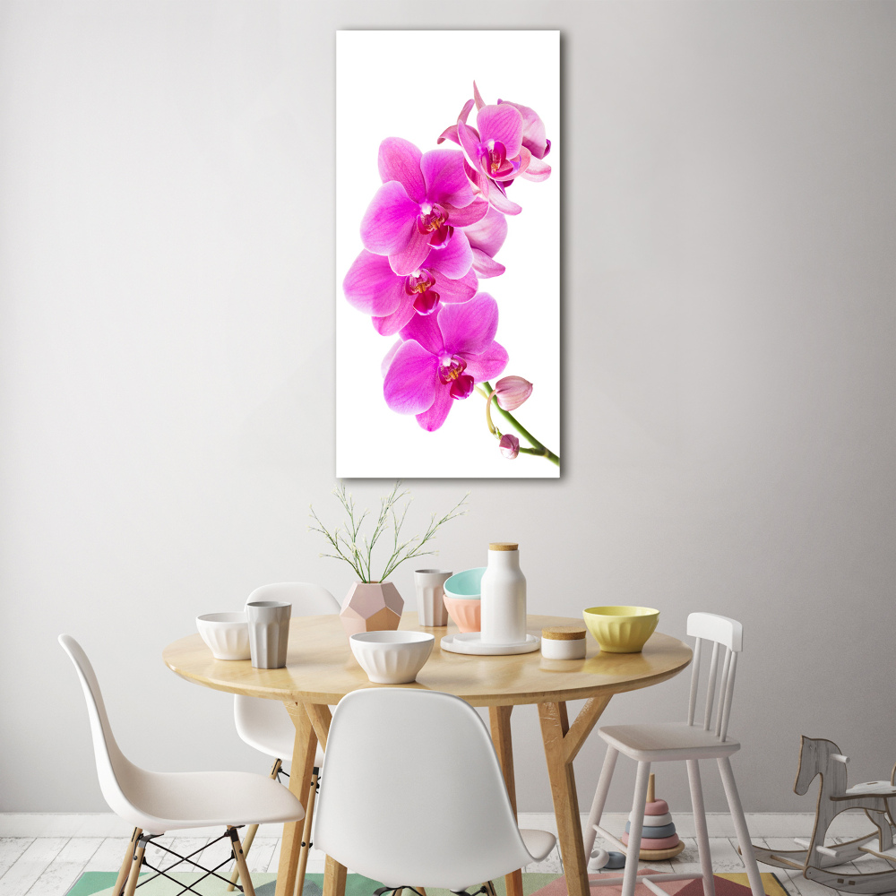 Foto obraz na szkle pionowy Różowa orchidea