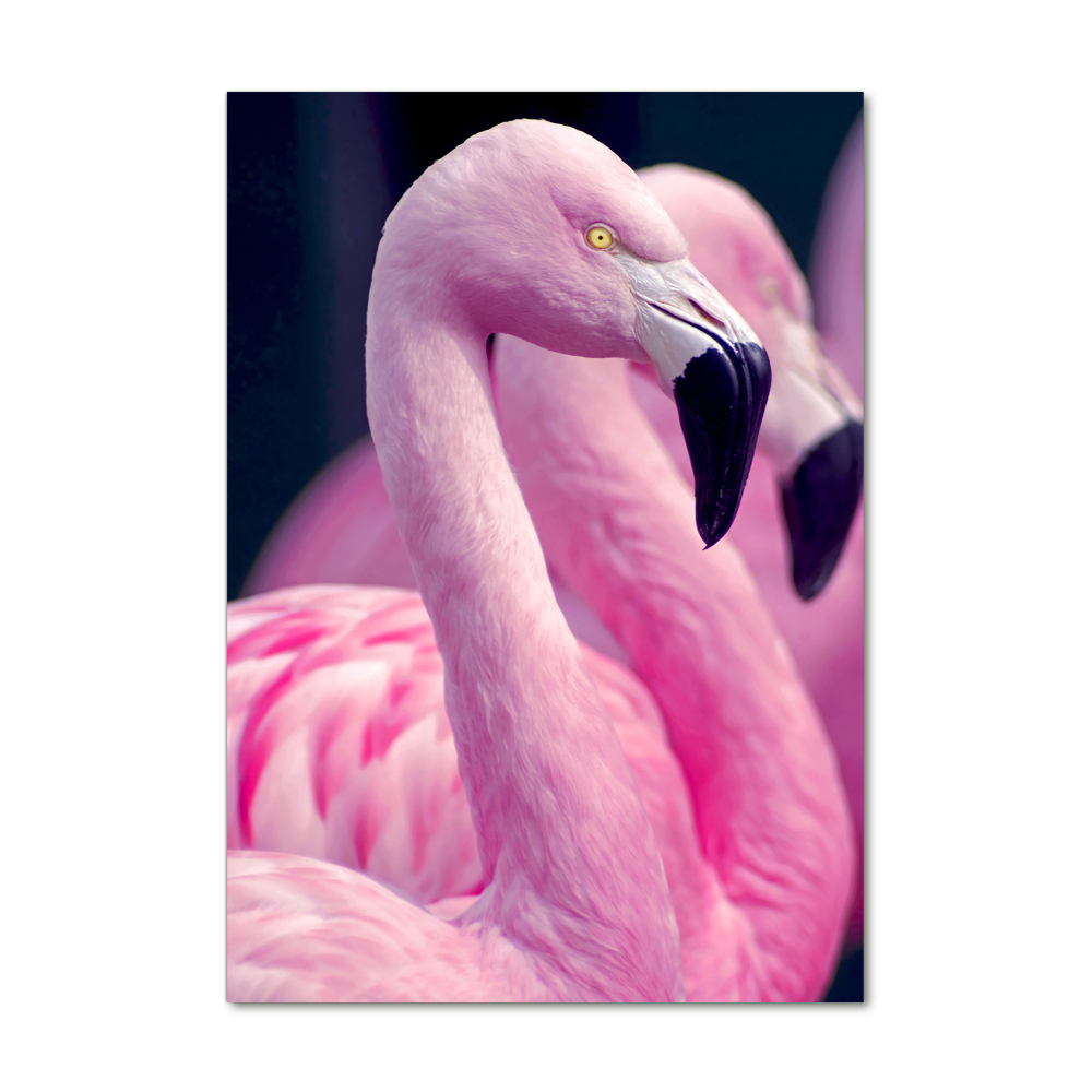 Foto-obraz szkło hartowane pionowy Flamingi