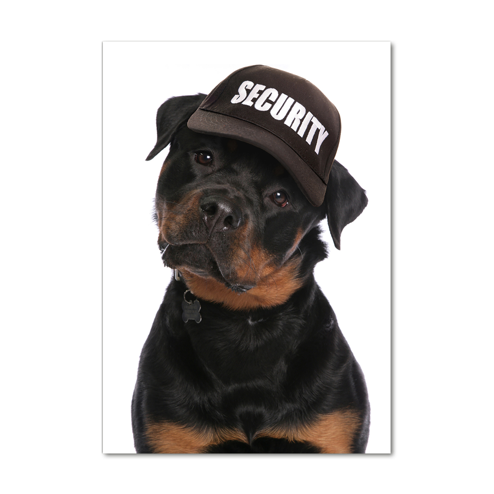 Foto obraz na szkle pionowy Rottweiler w czapce