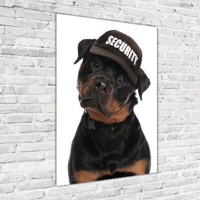 Foto obraz na szkle pionowy Rottweiler w czapce