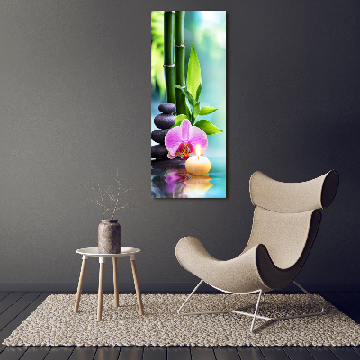 Foto obraz na szkle pionowy Orchidea i bambus