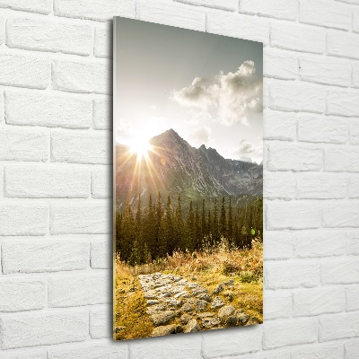 Foto obraz na szkle pionowy Zachód słońca Tatry