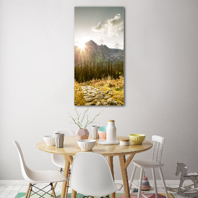 Foto obraz na szkle pionowy Zachód słońca Tatry