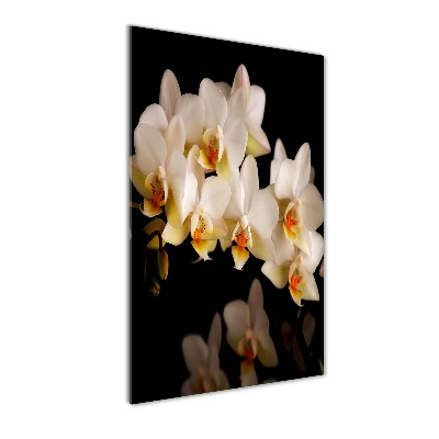 Foto-obraz szkło hartowane pionowy Orchidea