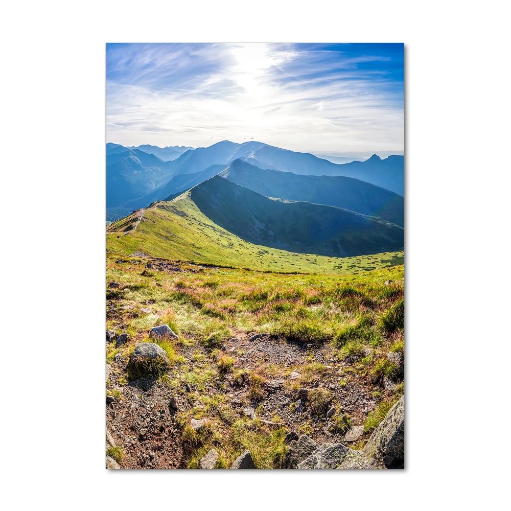 Fotoobraz szklany na ścianę do salonu pionowy Tatry