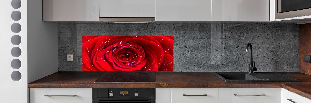 Panel dekor szkło Kwiat róży