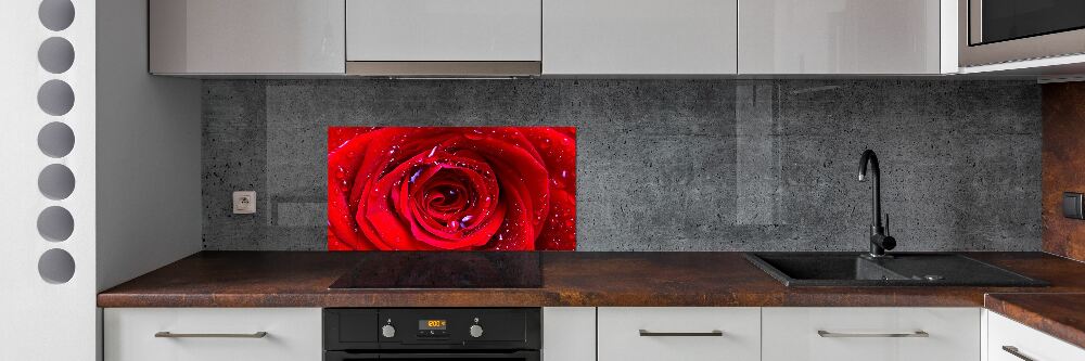 Panel dekor szkło Kwiat róży