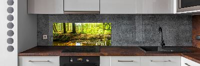 Panel do kuchni Promyki słońca las
