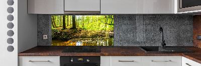 Panel do kuchni Promyki słońca las