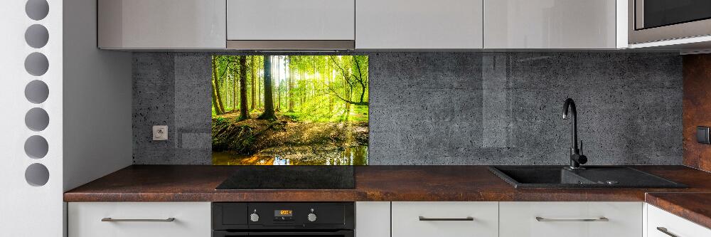 Panel do kuchni Promyki słońca las