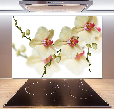 Panel między meble w kuchni Orchidea