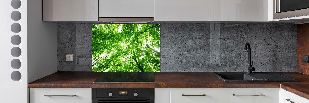 Panel dekor szkło Zielony las