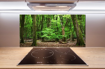 Panel do kuchni Holenderski las