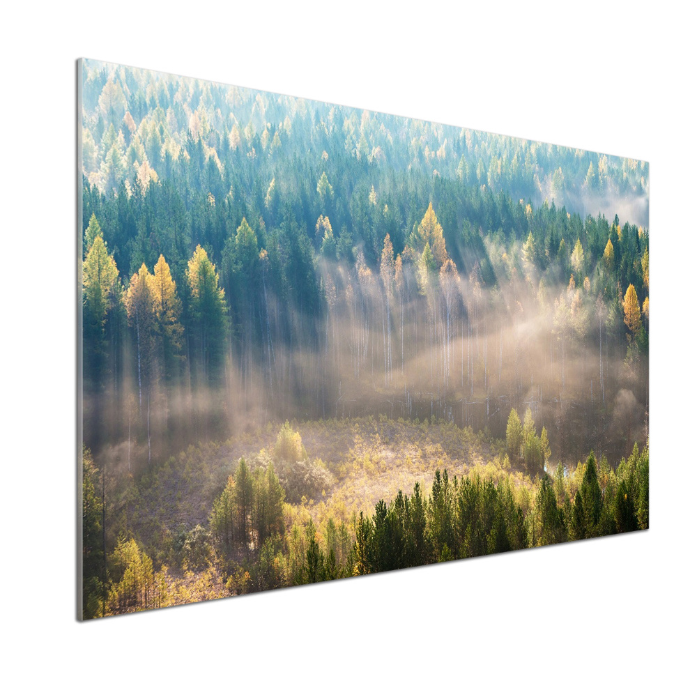 Panel dekor szkło Mgła w lesie