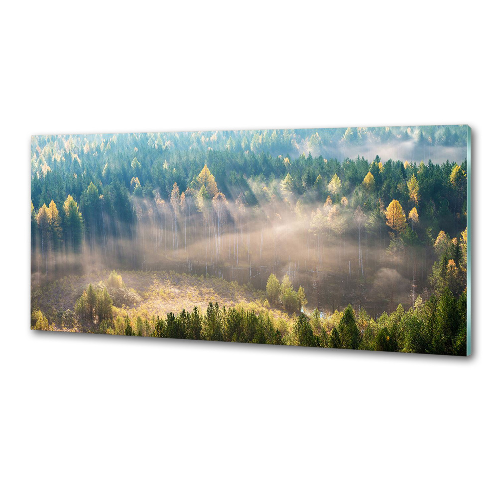 Panel dekor szkło Mgła w lesie