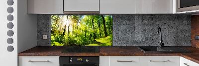 Panel dekor szkło Las w słońcu