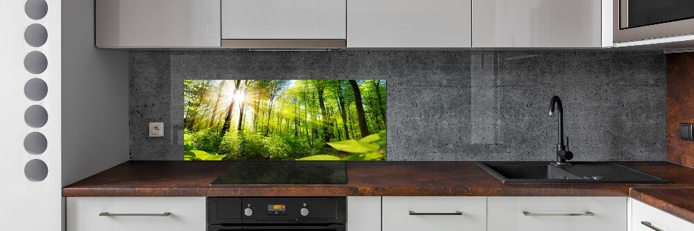 Panel dekor szkło Las w słońcu