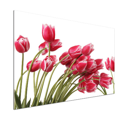 Panel do kuchni Czerwone tulipany