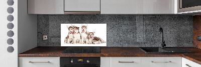 Panel do kuchni Szczeniaki Husky