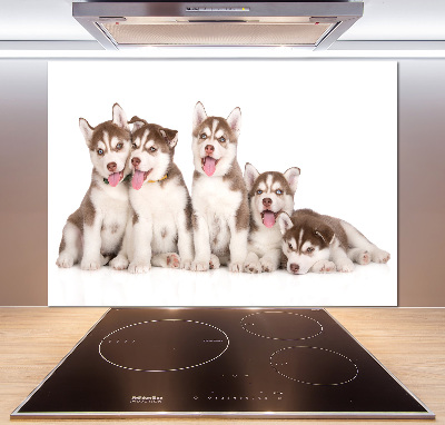 Panel do kuchni Szczeniaki Husky