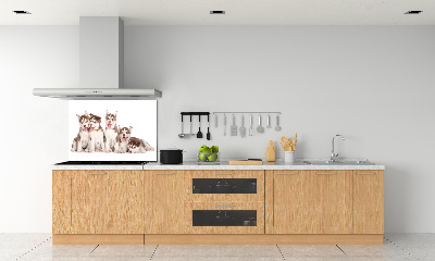 Panel do kuchni Szczeniaki Husky