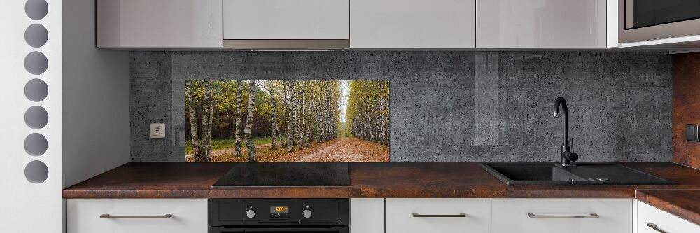 Panel dekor szkło Aleja brzóz
