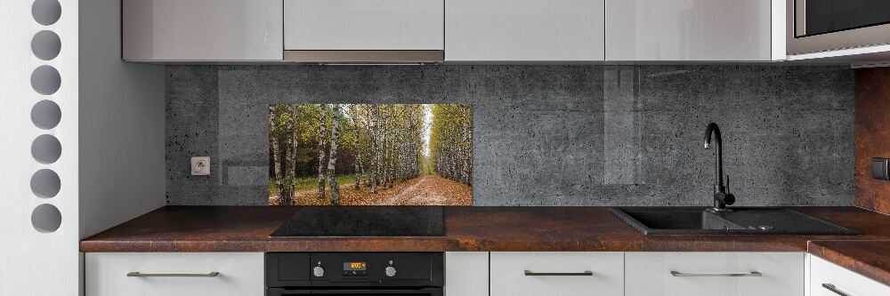 Panel dekor szkło Aleja brzóz