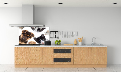Panel do kuchni Zwierzęta domowe