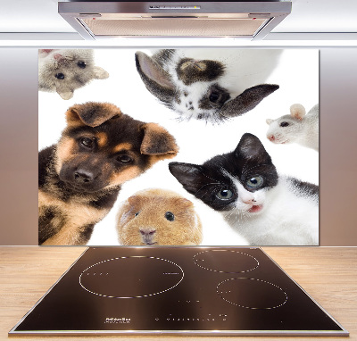 Panel do kuchni Zwierzęta domowe