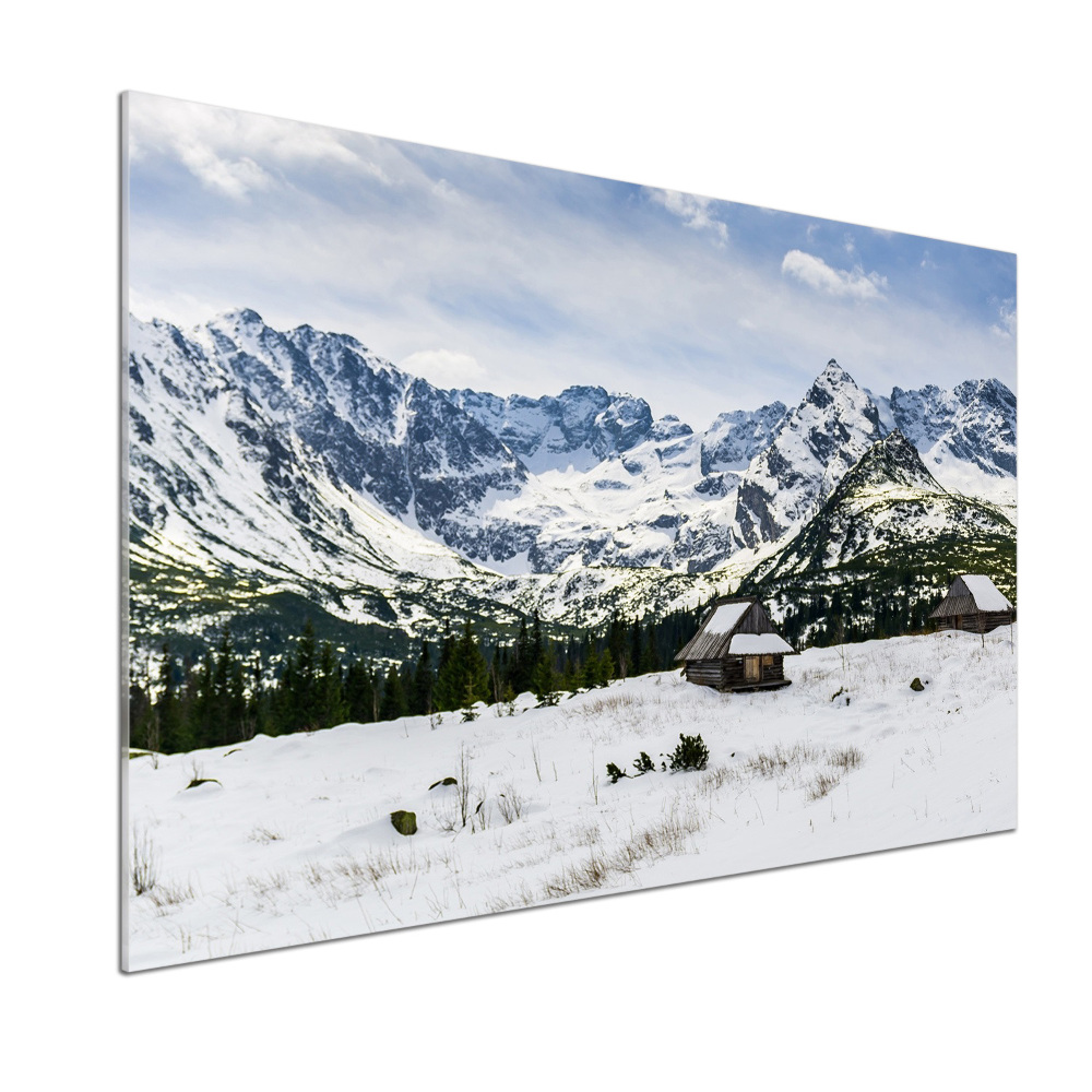 Panel dekor szkło Hale Tatry