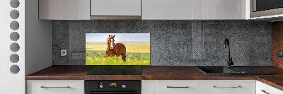 Panel dekor szkło Brązowy koń