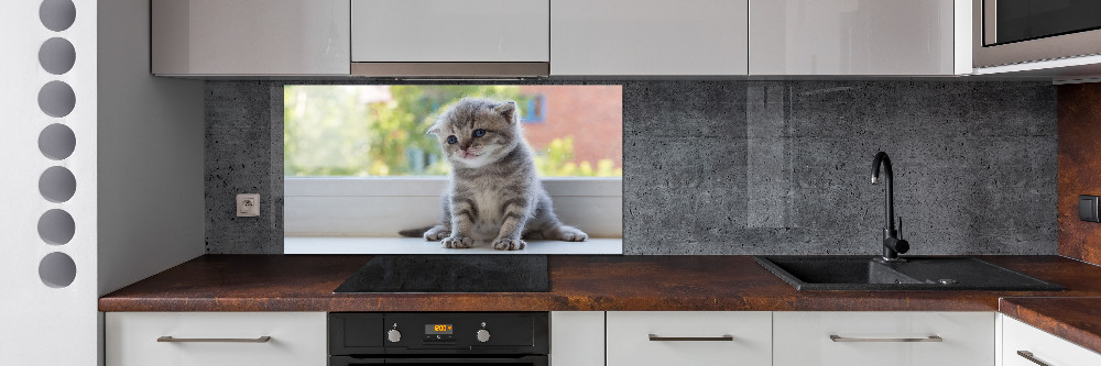 Panel lacobel Mały kot przy oknie
