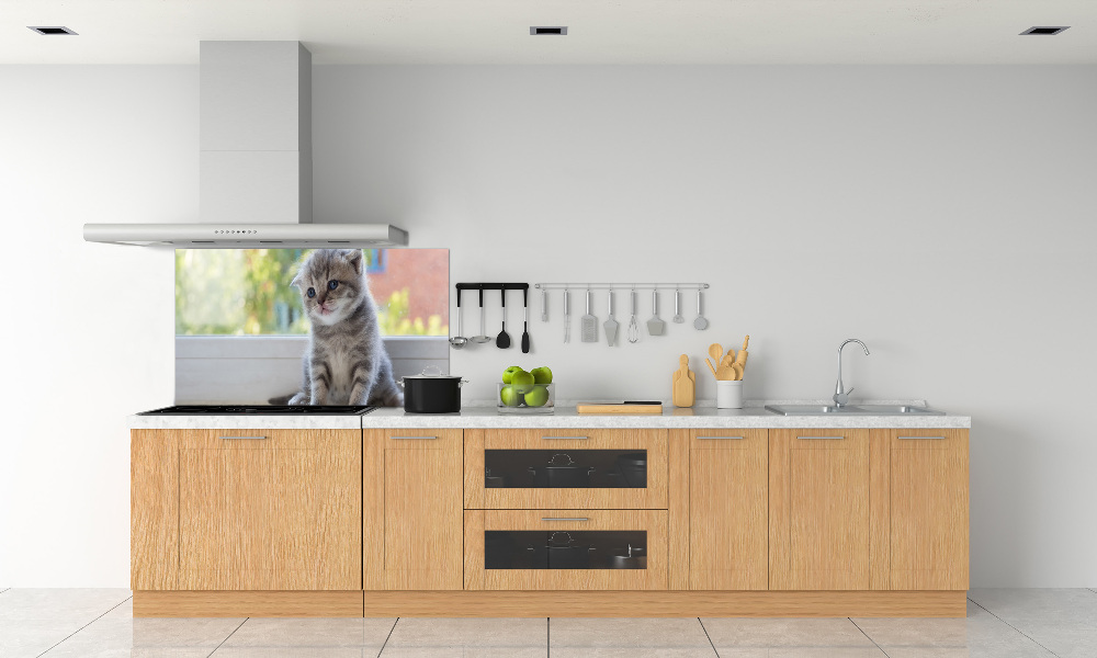 Panel lacobel Mały kot przy oknie