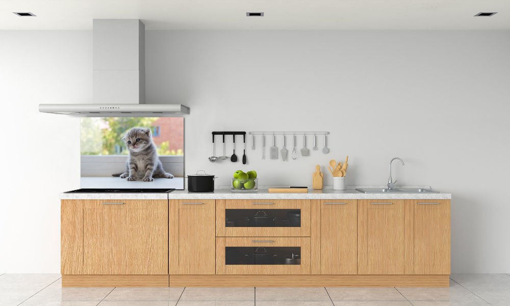 Panel lacobel Mały kot przy oknie