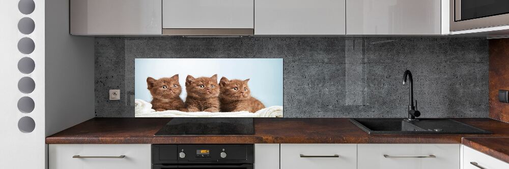 Panel do kuchni Kotki na ręczniku