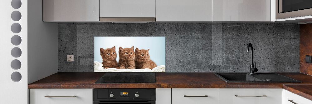 Panel do kuchni Kotki na ręczniku