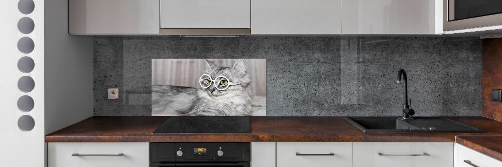 Panel do kuchni Kot w okularach
