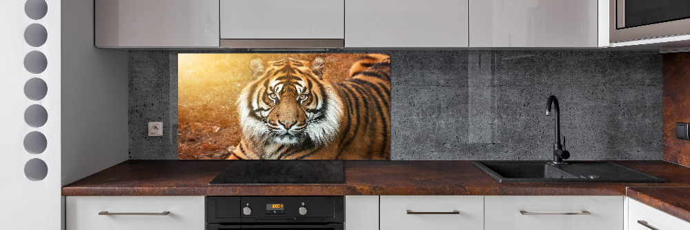 Panel do kuchni Tygrys bengalski