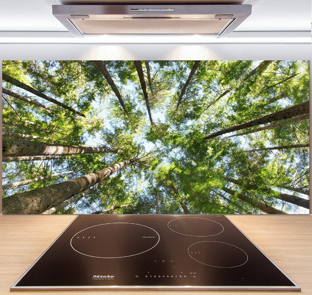Panel dekor szkło Korona drzew
