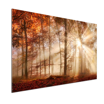 Panel lacobel Mgła w lesie jesień