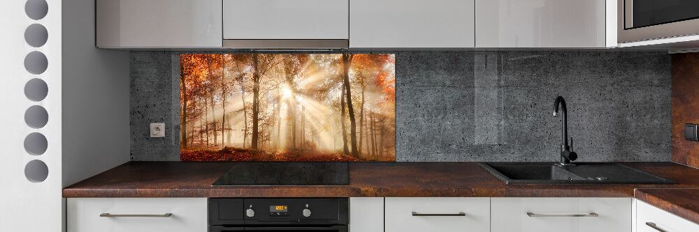 Panel lacobel Mgła w lesie jesień