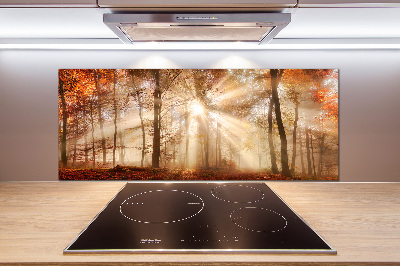 Panel lacobel Mgła w lesie jesień