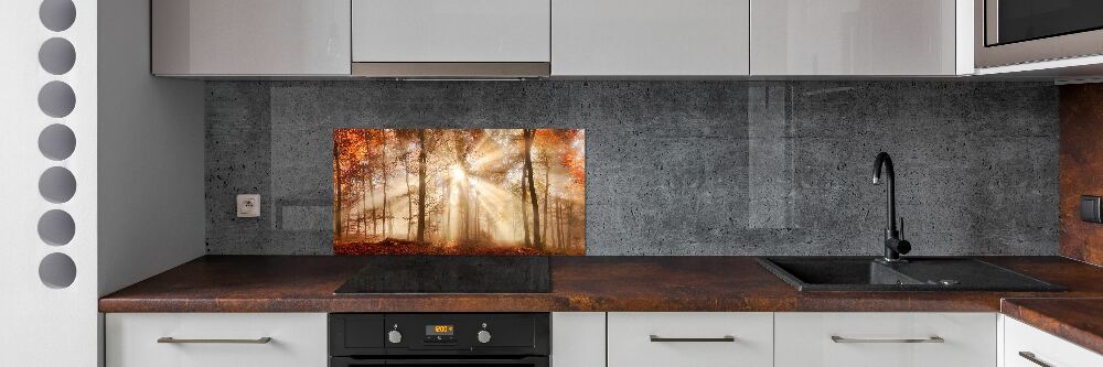 Panel lacobel Mgła w lesie jesień