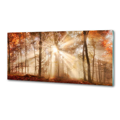 Panel lacobel Mgła w lesie jesień