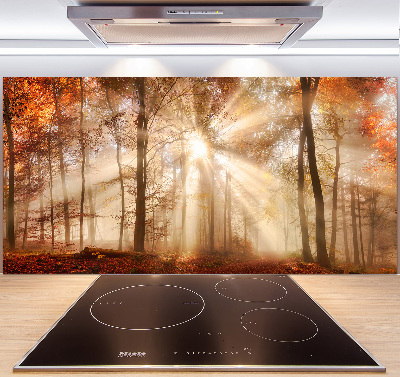Panel lacobel Mgła w lesie jesień