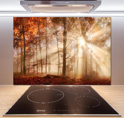 Panel lacobel Mgła w lesie jesień