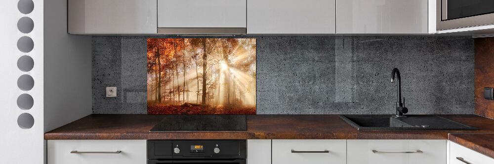 Panel lacobel Mgła w lesie jesień