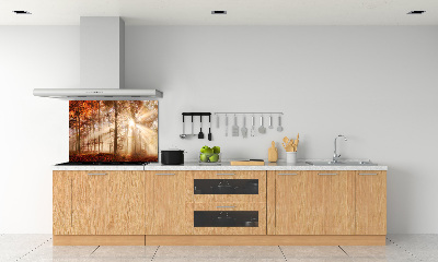 Panel lacobel Mgła w lesie jesień